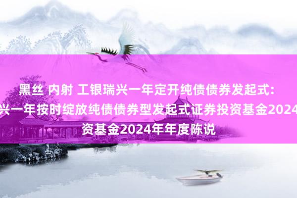 黑丝 内射 工银瑞兴一年定开纯债债券发起式: 工银瑞信瑞兴一年按时绽放纯债债券型发起式证券投资基金2024年年度陈说