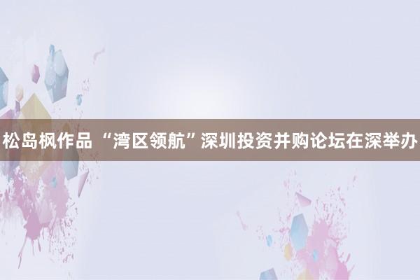 松岛枫作品 “湾区领航”深圳投资并购论坛在深举办