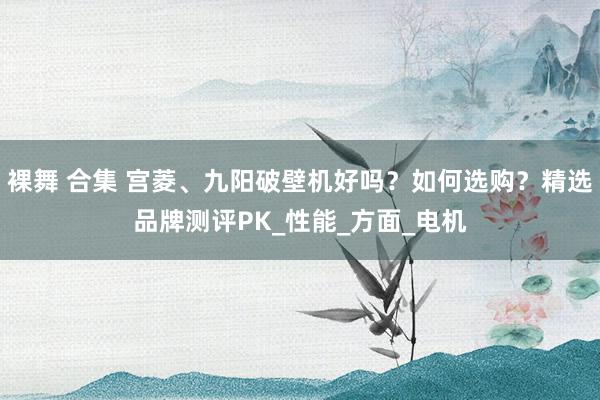裸舞 合集 宫菱、九阳破壁机好吗？如何选购？精选品牌测评PK_性能_方面_电机
