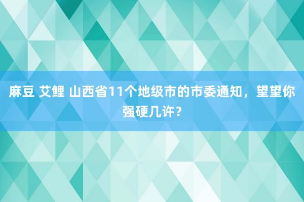 麻豆 艾鲤 山西省11个地级市的市委通知，望望你强硬几许？
