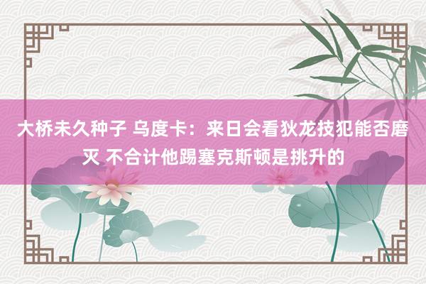 大桥未久种子 乌度卡：来日会看狄龙技犯能否磨灭 不合计他踢塞克斯顿是挑升的