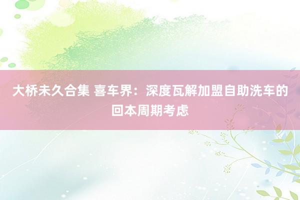 大桥未久合集 喜车界：深度瓦解加盟自助洗车的回本周期考虑