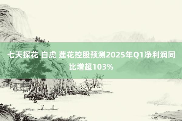 七天探花 白虎 莲花控股预测2025年Q1净利润同比增超103%