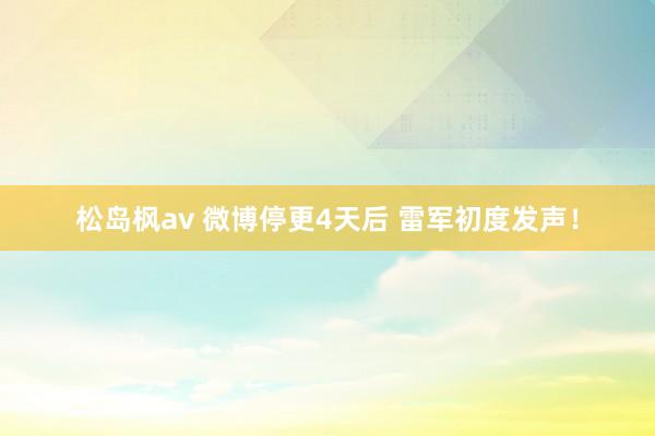 松岛枫av 微博停更4天后 雷军初度发声！