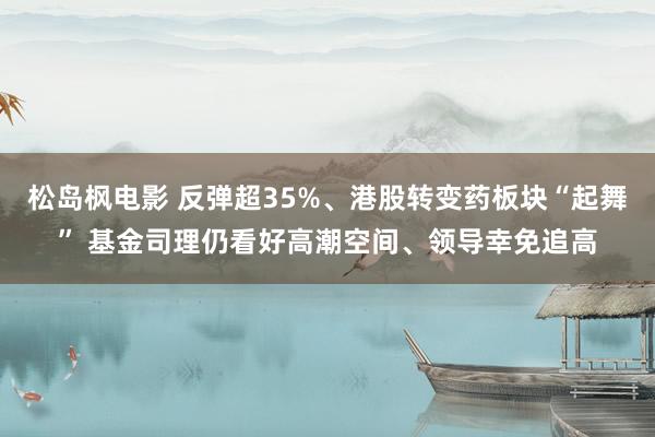 松岛枫电影 反弹超35%、港股转变药板块“起舞” 基金司理仍看好高潮空间、领导幸免追高