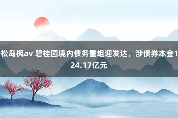 松岛枫av 碧桂园境内债务重组迎发达，涉债券本金124.17亿元