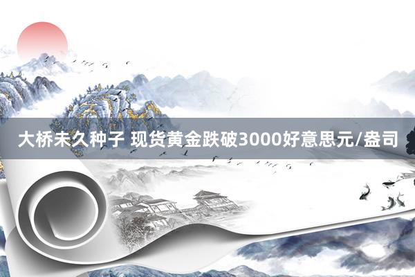 大桥未久种子 现货黄金跌破3000好意思元/盎司