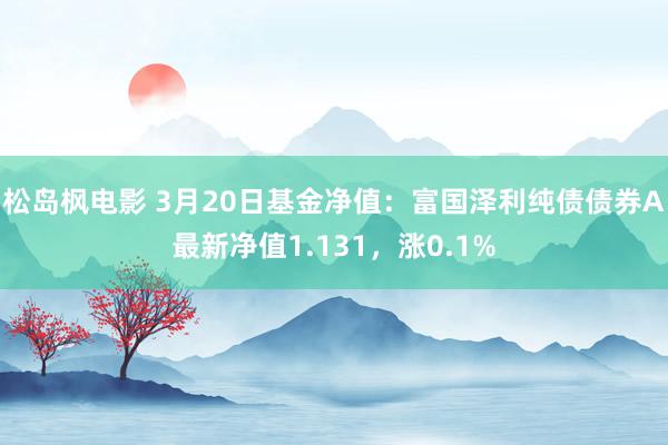 松岛枫电影 3月20日基金净值：富国泽利纯债债券A最新净值1.131，涨0.1%