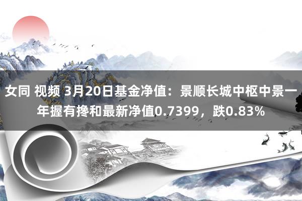 女同 视频 3月20日基金净值：景顺长城中枢中景一年握有搀和最新净值0.7399，跌0.83%