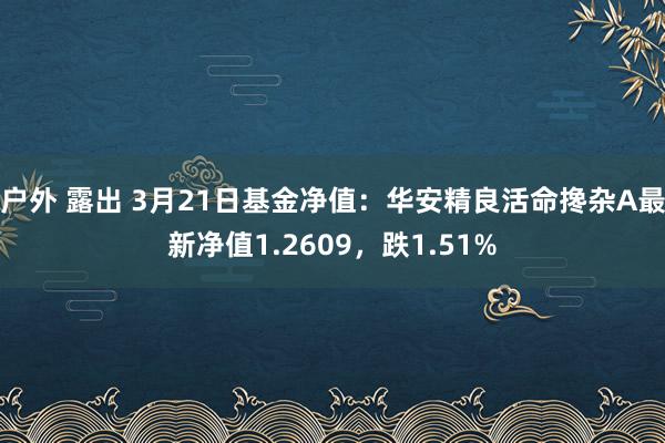 户外 露出 3月21日基金净值：华安精良活命搀杂A最新净值1.2609，跌1.51%