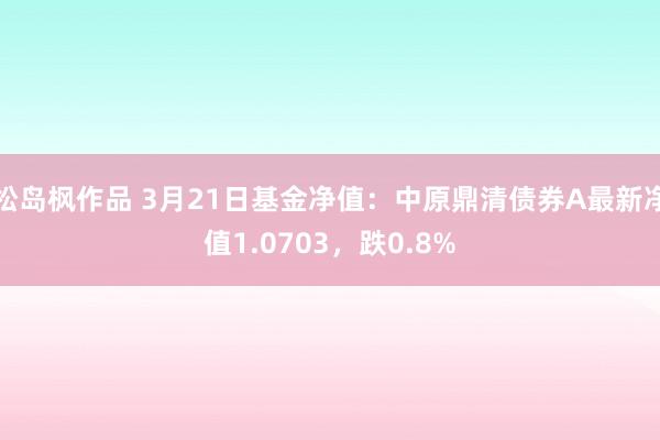 松岛枫作品 3月21日基金净值：中原鼎清债券A最新净值1.0703，跌0.8%