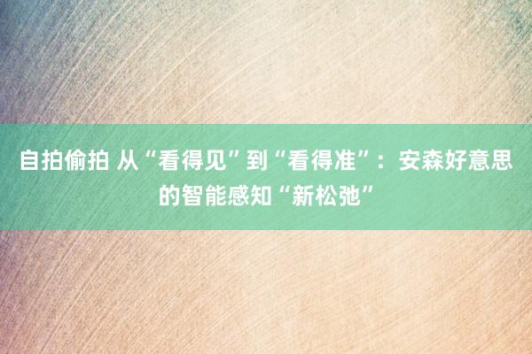 自拍偷拍 从“看得见”到“看得准”：安森好意思的智能感知“新松弛”