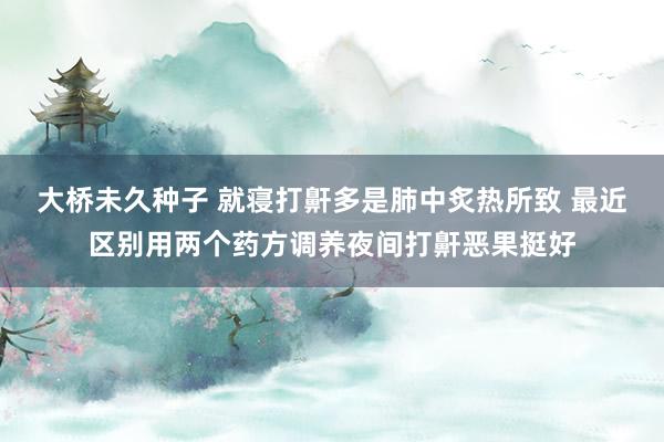 大桥未久种子 就寝打鼾多是肺中炙热所致 最近区别用两个药方调养夜间打鼾恶果挺好