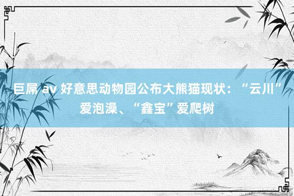 巨屌 av 好意思动物园公布大熊猫现状：“云川”爱泡澡、“鑫宝”爱爬树