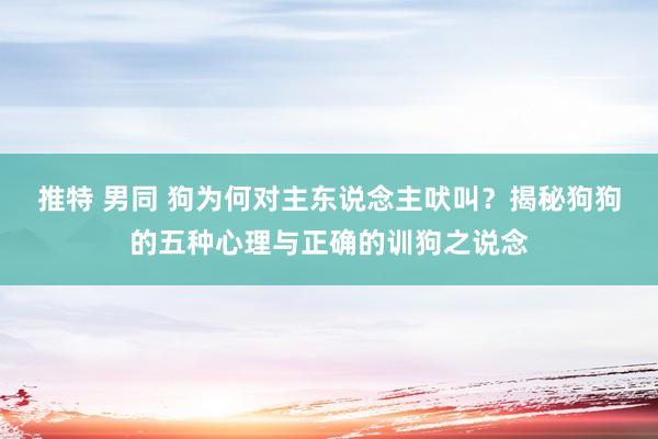 推特 男同 狗为何对主东说念主吠叫？揭秘狗狗的五种心理与正确的训狗之说念