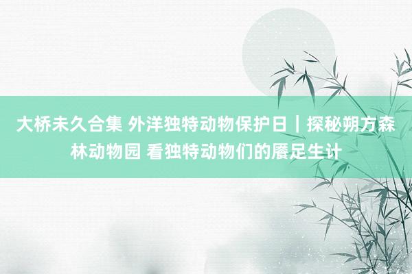 大桥未久合集 外洋独特动物保护日｜探秘朔方森林动物园 看独特动物们的餍足生计