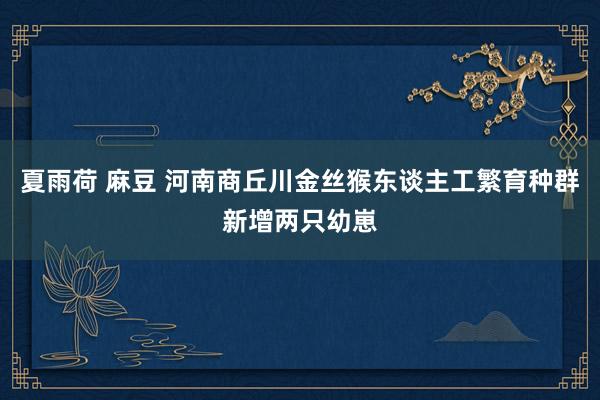 夏雨荷 麻豆 河南商丘川金丝猴东谈主工繁育种群新增两只幼崽