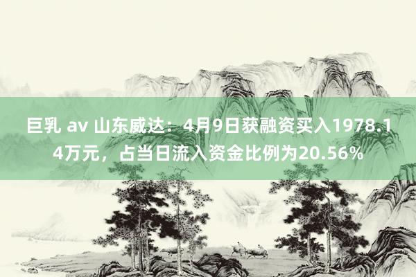 巨乳 av 山东威达：4月9日获融资买入1978.14万元，占当日流入资金比例为20.56%