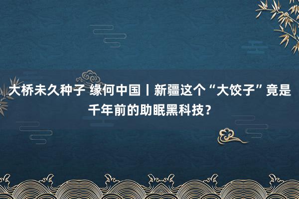 大桥未久种子 缘何中国丨新疆这个“大饺子”竟是千年前的助眠黑科技？
