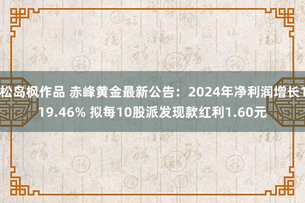 松岛枫作品 赤峰黄金最新公告：2024年净利润增长119.46% 拟每10股派发现款红利1.60元
