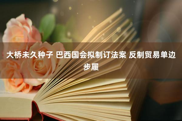 大桥未久种子 巴西国会拟制订法案 反制贸易单边步履