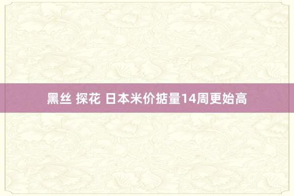 黑丝 探花 日本米价掂量14周更始高