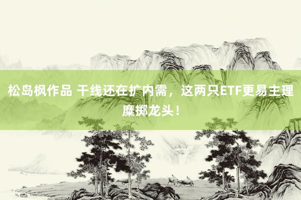 松岛枫作品 干线还在扩内需，这两只ETF更易主理糜掷龙头！