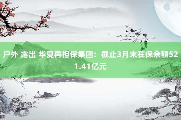 户外 露出 华夏再担保集团：截止3月末在保余额521.41亿元
