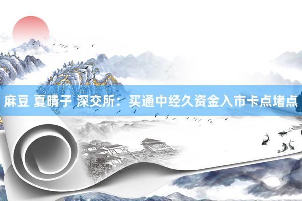 麻豆 夏晴子 深交所：买通中经久资金入市卡点堵点