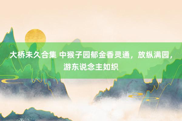 大桥未久合集 中猴子园郁金香灵通,放纵满园,游东说念主如织