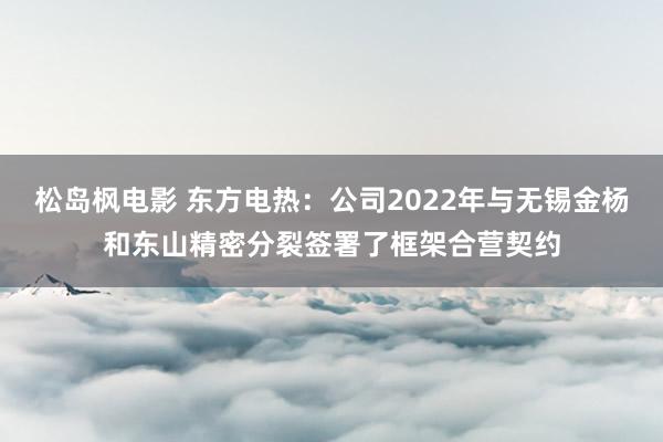 松岛枫电影 东方电热：公司2022年与无锡金杨和东山精密分裂签署了框架合营契约