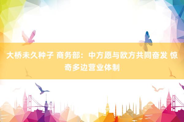 大桥未久种子 商务部：中方愿与欧方共同奋发 惊奇多边营业体制