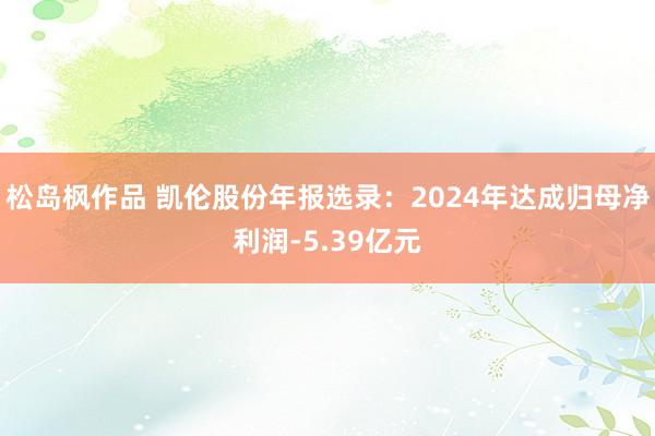 松岛枫作品 凯伦股份年报选录：2024年达成归母净利润-5.39亿元
