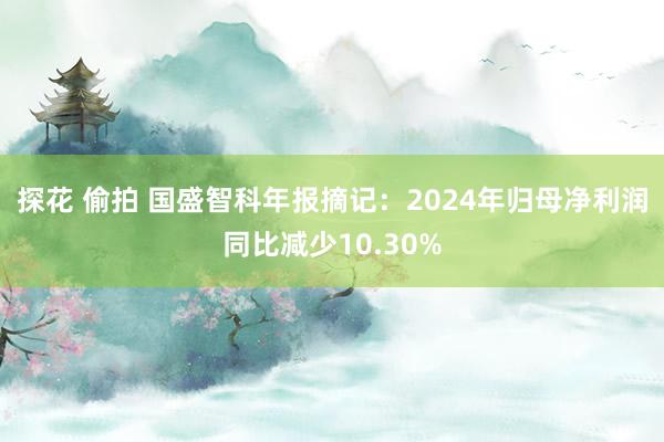 探花 偷拍 国盛智科年报摘记：2024年归母净利润同比减少10.30%