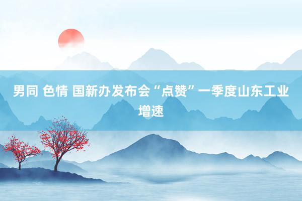 男同 色情 国新办发布会“点赞”一季度山东工业增速