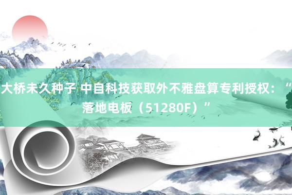 大桥未久种子 中自科技获取外不雅盘算专利授权：“落地电板（51280F）”