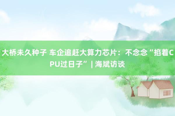 大桥未久种子 车企追赶大算力芯片：不念念“掐着CPU过日子” | 海斌访谈
