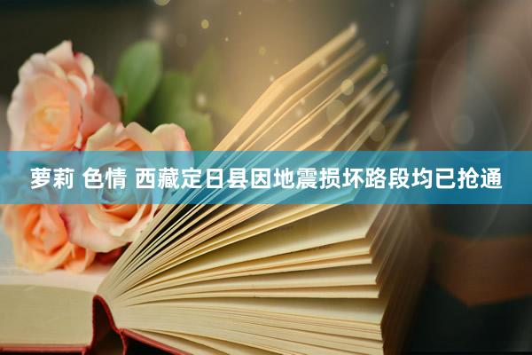 萝莉 色情 西藏定日县因地震损坏路段均已抢通