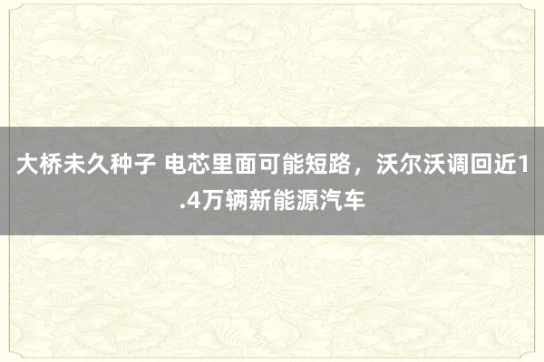 大桥未久种子 电芯里面可能短路，沃尔沃调回近1.4万辆新能源汽车