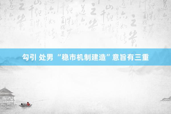 勾引 处男 “稳市机制建造”意旨有三重
