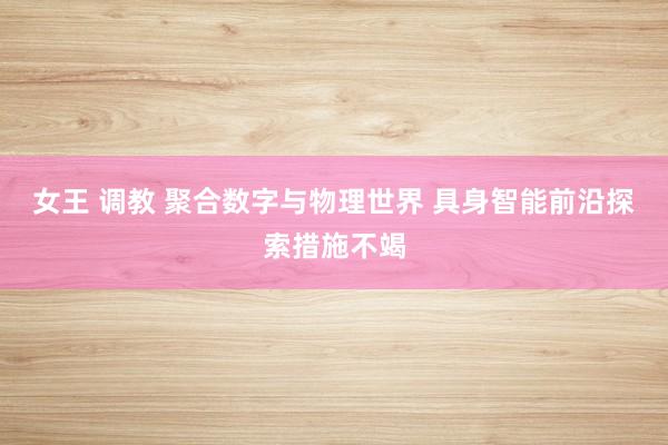 女王 调教 聚合数字与物理世界 具身智能前沿探索措施不竭