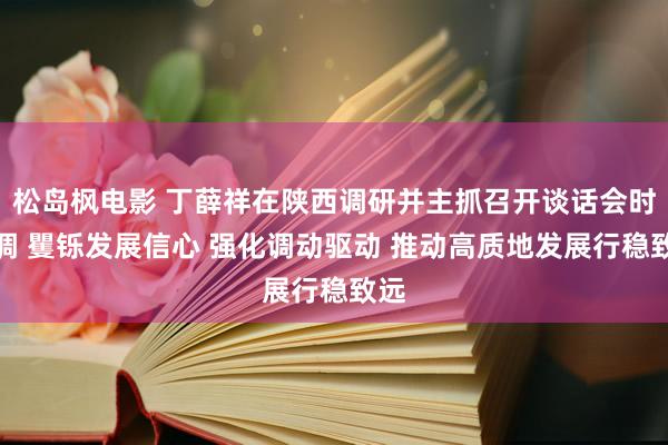 松岛枫电影 丁薛祥在陕西调研并主抓召开谈话会时强调 矍铄发展信心 强化调动驱动 推动高质地发展行稳致远