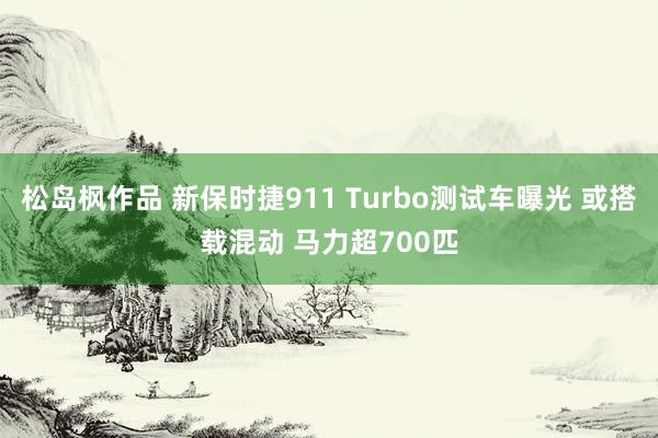 松岛枫作品 新保时捷911 Turbo测试车曝光 或搭载混动 马力超700匹