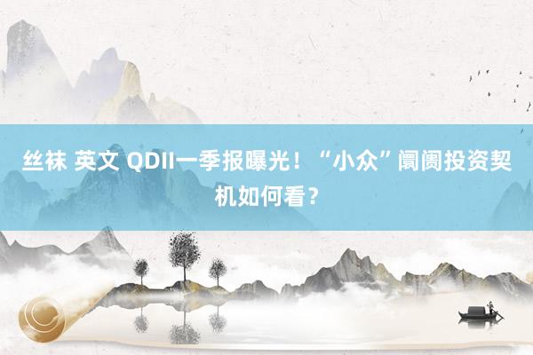 丝袜 英文 QDII一季报曝光！“小众”阛阓投资契机如何看？