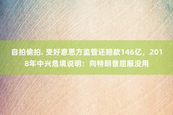 自拍偷拍. 受好意思方监管还赔款146亿，2018年中兴危境说明：向特朗普屈服没用