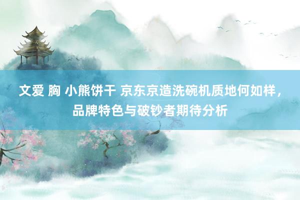 文爱 胸 小熊饼干 京东京造洗碗机质地何如样，品牌特色与破钞者期待分析