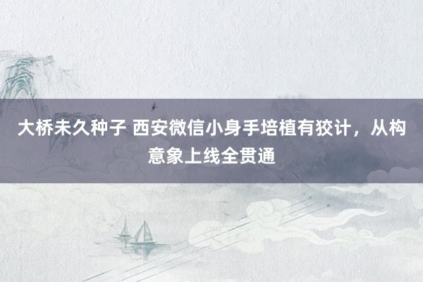 大桥未久种子 西安微信小身手培植有狡计，从构意象上线全贯通