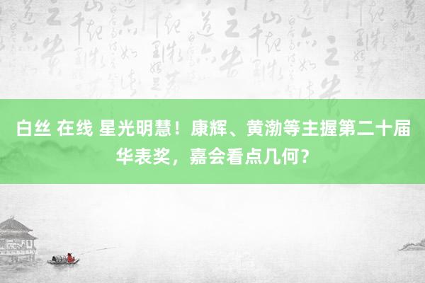 白丝 在线 星光明慧！康辉、黄渤等主握第二十届华表奖，嘉会看点几何？